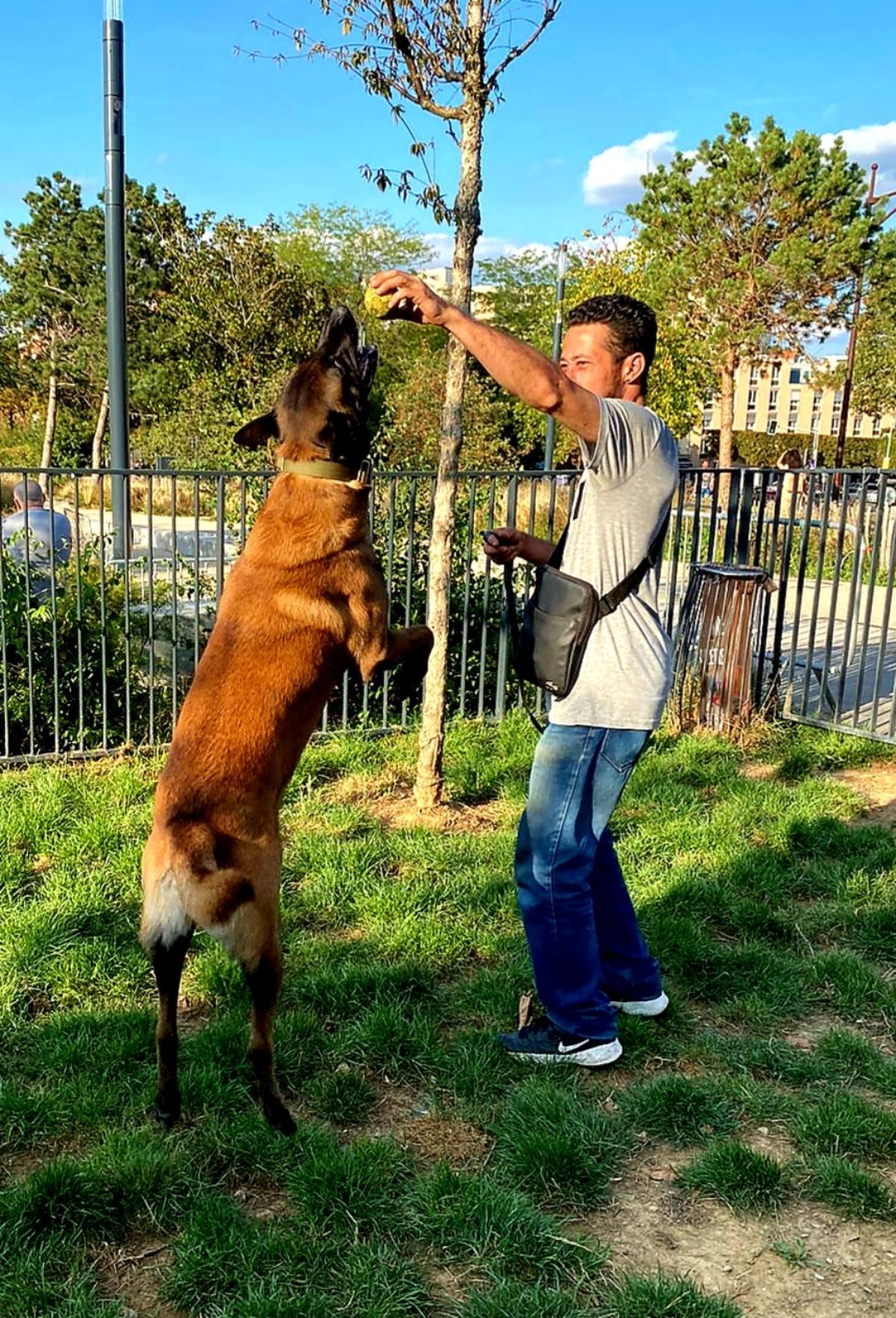 Travail avec le chien